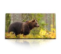 Paul Sinus Tableau mural de 120 x 60 cm - Ours dans la nature sauvage - Attire tous les regards sur la toile et le cadre en bois