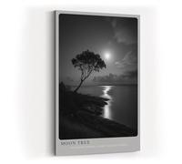 Paul Sinus Tableau mural de 40 x 60 cm - Paysage en noir et blanc avec arbre sur la rive au clair de lune