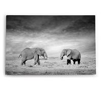 Paul Sinus Tableau mural décoratif - Impression d'art - 90 x 60 cm - Deux éléphants - Noir et blanc - Afrique