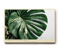 Paul Sinus Tableau mural Green in Clean Light Tropical Monstera Feuille Minimaliste Plantes Photographie Art Moderne Nature Poster pour Salon Bureau