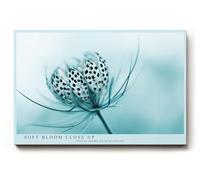 Paul Sinus Tableau mural Macro Fleur Structure naturelle délicate Bleu Turquoise Minimaliste Photographie de nature calme Art botanique moderne