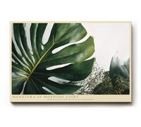 Paul Sinus Tableau mural Monstera in Morning Light Plantes tropicales Art avec feuille Monstera Nature moderne Décoration murale