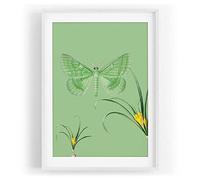 Paul Sinus Tableau mural motif papillon vert fleur brins d'herbe design couleur motif encadré blanc au format A3