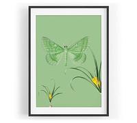 Paul Sinus Tableau mural motif papillon vert fleur brins d'herbe design couleur motif encadré noir A3