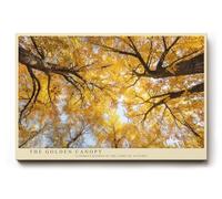 Paul Sinus Tableau mural The Golden Canopy Autumn Forest in Light and Warm Harmony