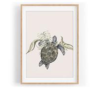 Paul Sinus Tableau mural tortue de mer sous l'eau - Aquarelle - Motif encadré nature - Format A3