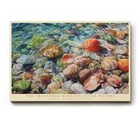 Paul Sinus Tableau The Treasures Beneath Clear Waters - Motif marin réaliste avec coquillages et pierres dans l'eau claire - Art naturel coloré