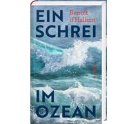 Paul Sourzac Benoit d`Halluin Ein Schrei im Ozean (Relié)