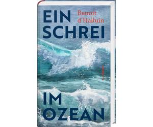 Paul Sourzac Benoit d`Halluin Ein Schrei im Ozean (Relié)