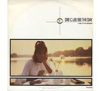 PAUL WELLER - PAUL WELLER - DEE C LEE / SEE THE DAY - 12" VINYL