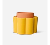 Paula - jaune moutarde