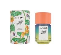 Eau de Toilette Loewe Paula's Ibiza Eclectic 100 ml