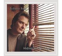 Anthony Paule - Hiding in Plain Sight