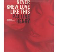 Pauline Henry And Wayne Marshall - Never Knew Love Like This - Pauline Henry And Wayne Marshall 12"
