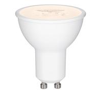 Paulmann 28577 LED CEE G (A - G) GU10 6.5 W blanc chaud (Ø x H) 51 mm x 56 mm 1 pc(s)