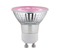 Paulmann 28736 Lampe LED Lumière horticole 3,5 watts Ampoule Lumière de croissance Éclairage Lumière 1100 K GU10