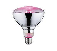 Paulmann Lampe pour plantes à LED, croissance 230 V E27 6.5 W ambré 1 pc(s)
