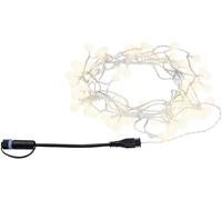 Paulmann 4000870945575 94557 Système déclairage Plug&Shine; guirlande lumineuse LED LED 2 W blanc chaud noir