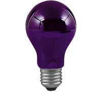 Paulmann 59070 Lampe UV E27 75 W