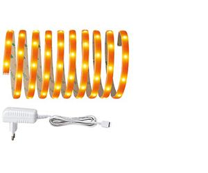 Paulmann 705.06 Strip, intégré, Orange