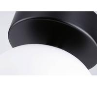 Paulmann 71071 Gove Plafonnier LED 5 W noir (mat), satin