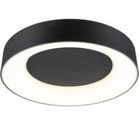 Paulmann 71097 Casca Plafonnier LED LED 23 W noir (mat)