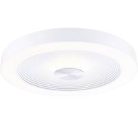 Paulmann 71179 Volea Plafonnier LED LED 4 W, 18.5 W blanc, argent