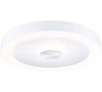 Plafonnier LED Volea IP44 3000K 500lm / 2400lm 230V 4W / 18,5W gradable Blanc#Argent Blanc#Argent G