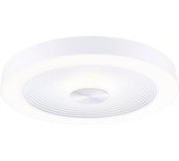 Paulmann Plafonnier LED Volea 71179 – 4 W, 18,5 W – Blanc/Argent