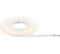 Paulmann 71195 Tuyau lumineux solaire 3.2 W blanc chaud noir