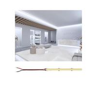 Paulmann 76032 Pro Strip Silver P150 COB 865 5m 65W 1400lm/m 528LEDs/m 6500K Bandes LED, 0 W, Blanc