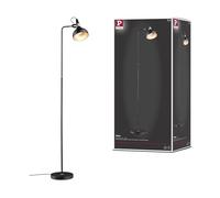 Paulmann 78480 Lampadaire Juna E14 max. 20W champagne, noir mat métal