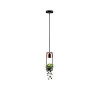 Paulmann 79749 Suspension Fanja, Plante Lumière, Max. 20 Watts, Noir, Cuivre, Métal, GU10