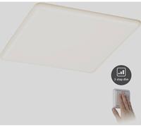 Paulmann 93062 EB Panel Veluna VariFit Luminaire à LED encastrable LED 21 W satin