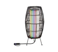 Paulmann 94754 Plug & Shine Objet lumineux LED Basket Smart Home Zigbee IP65 3,2W 180lm gradable 400mm Noir Métal/plastique RGBW