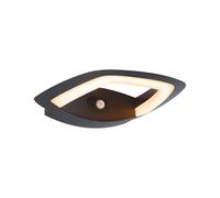 Paulmann 94839 Applique d'extérieur LED Akena IP44 adapté aux insectes détecteur de mouvement 10,8W 800lm 243x254mm Anthracite aluminium 2200K
