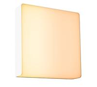 Paulmann 94843 LED Applique d'extérieur Smart Home Zigbee Azalena détecteur mouvement haute fréquence IP44 250x97mm Tunable Warm 8,5W 700lm 230V Blanc