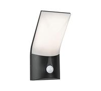 Paulmann Adya Applique murale d'extérieur Anthracite IP44 230 V Intensité variable avec détecteur de mouvement