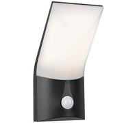 Paulmann Adya applique murale extérieure 1x10 W graphite 94402