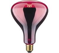 Paulmann Ampoule infrarouge E27 250 W (Ø x L) 125 mm x 173 mm 1 pc(s)