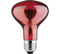 Paulmann Ampoule infrarouge E27 60 W (Ø x L) 80 mm x 115 mm 230 V 1 pc(s)