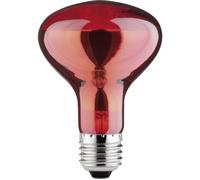 Paulmann Ampoule infrarouge E27 60 W (Ø x L) 80 mm x 115 mm 230 V 1 pc(s)