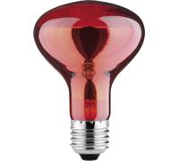 Paulmann Ampoule infrarouge E27 60 W (Ø x L) 80 mm x 115 mm 230 V 1 pc(s)
