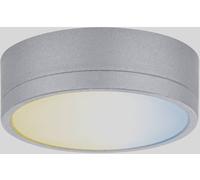 Paulmann CC Medal Eclairage de vitrine 2.30 W blanc chaud chrome