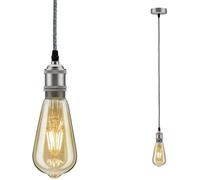 Paulmann Eldar 50385 Luminaire à suspendre LED E27 gris, nickel