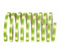 Paulmann Function YourLED Kit DECO 3M Néon Vert WW 7,2W 230/12V 18VA Blanc