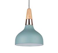 Paulmann Juna Suspension, À 1 Lampe, Ø 16 Cm turquoise, brun, cuivré