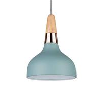 Paulmann Suspension Juna Ø16 cm