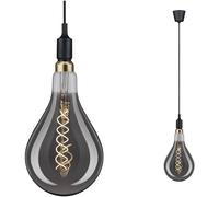 Paulmann Ketil 50381 Luminaire à suspendre LED E27 noir