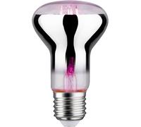 Paulmann Lampe pour plantes à LED, croissance 230 V E27 6.5 W ambré 1 pc(s)